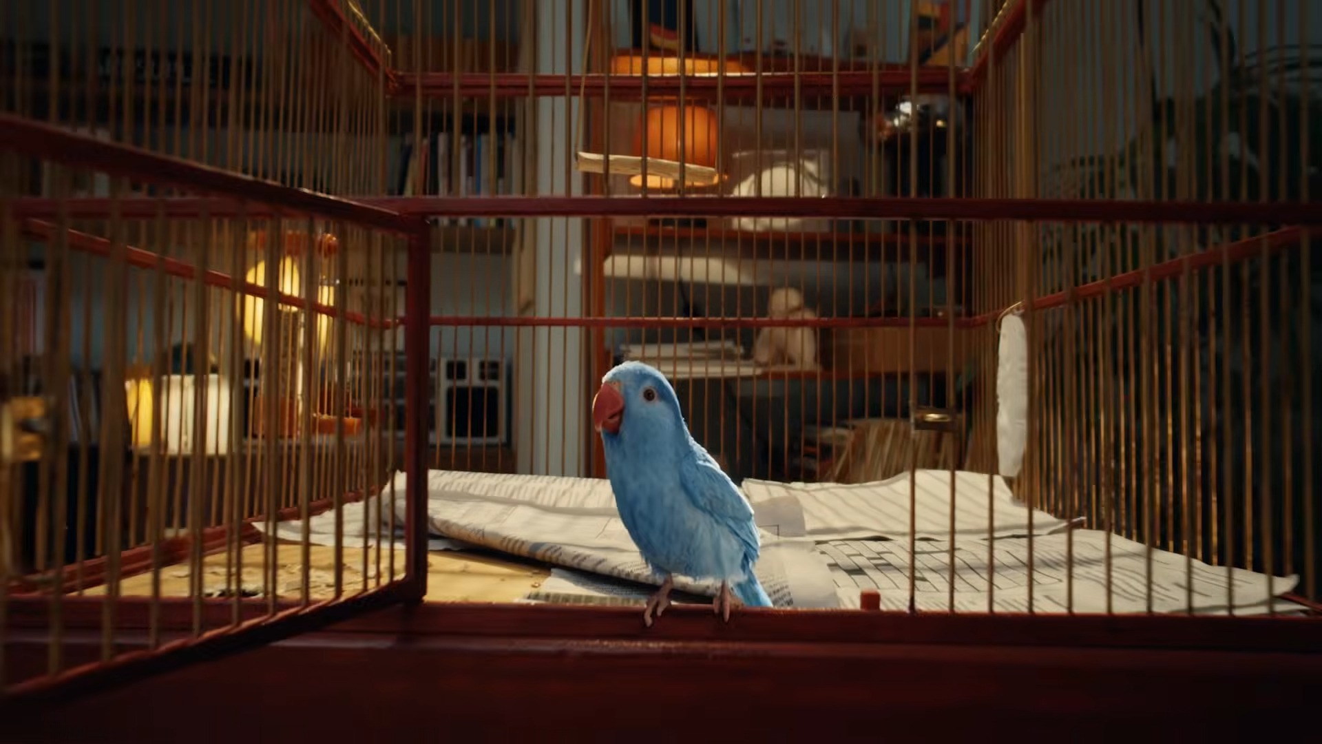 Erste Bank - The Bird